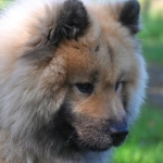 Программы лояльности казино без депозита для студентов