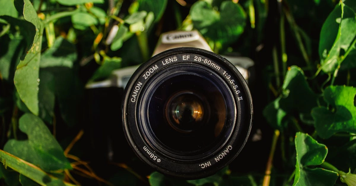 Игровой автомат Wild West Gold Megaways с символами Дикого Запада